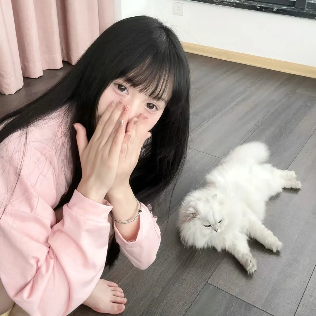 自由协议